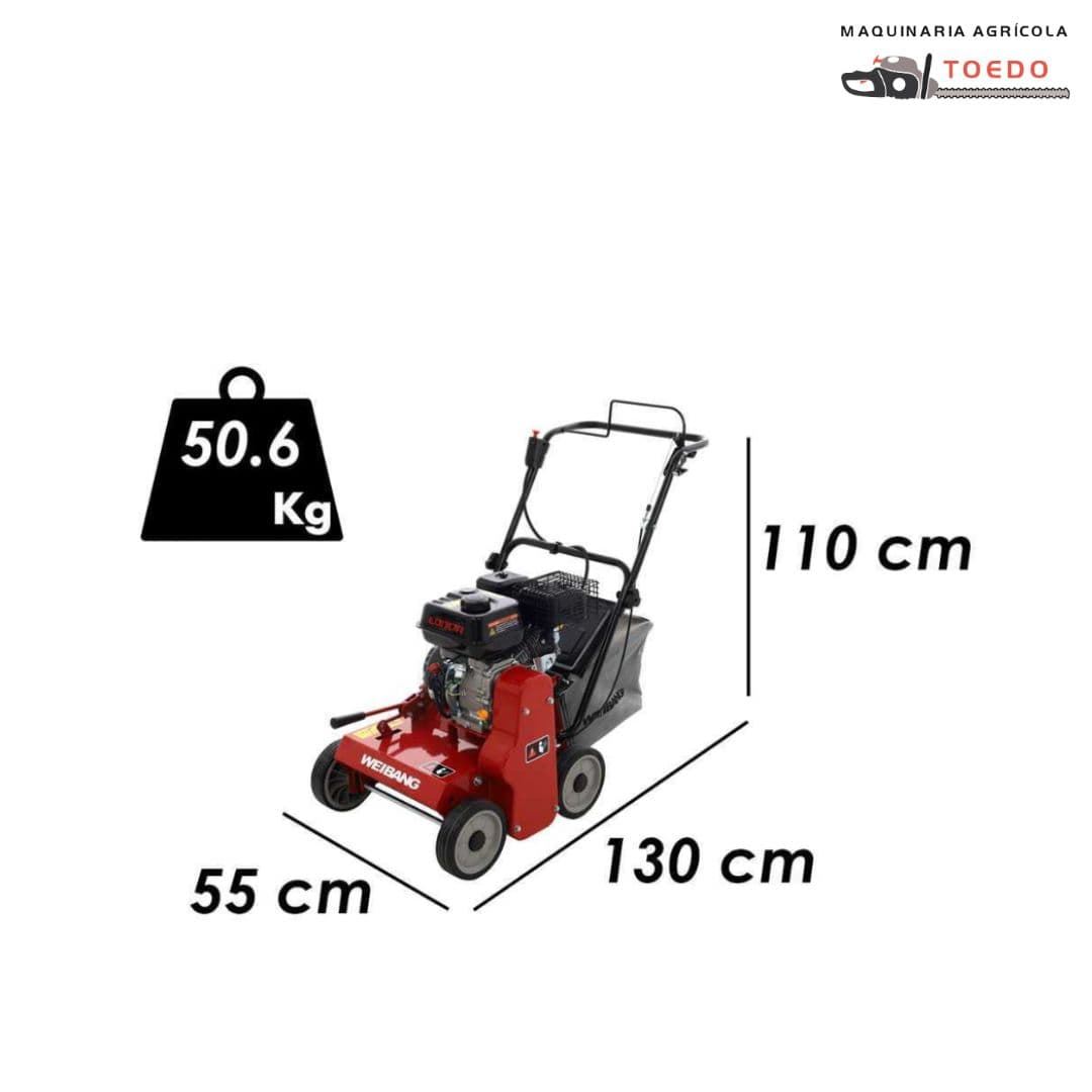 Escarificador WB 384RC - Imagen 11